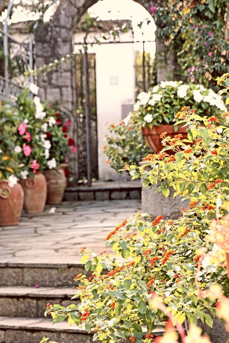 Cavalluccio Marino Anacapri  Dış mekan fotoğraf